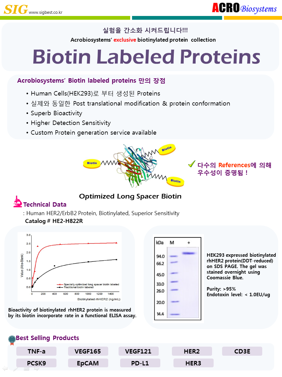 Biotin labeled proteins-1.png