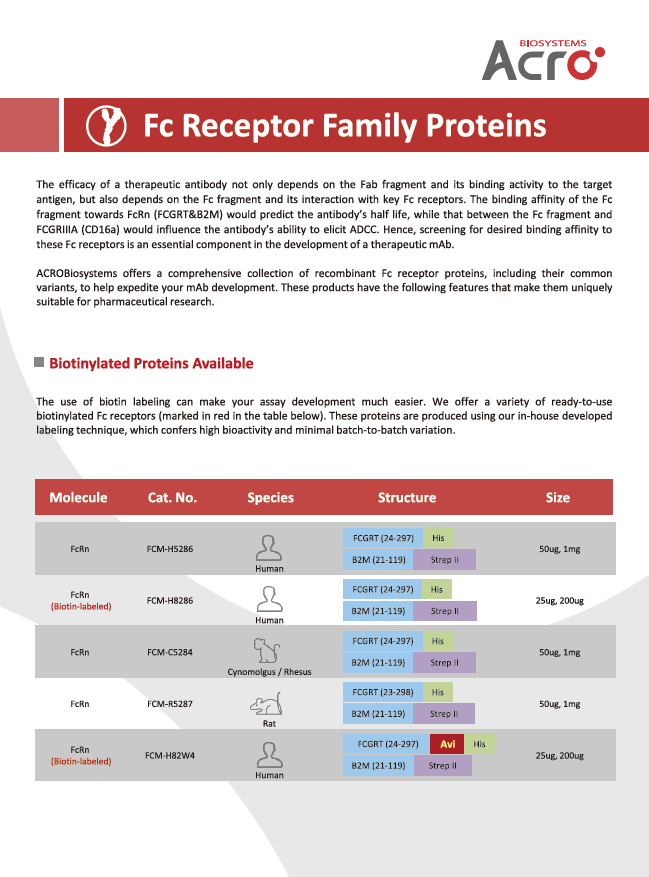 Fc receptor family proteins-1.png