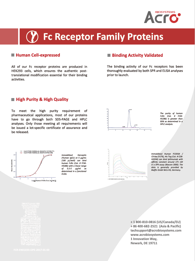 Fc receptor family proteins-4.png